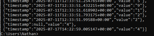 A valid JSON with Timestamp